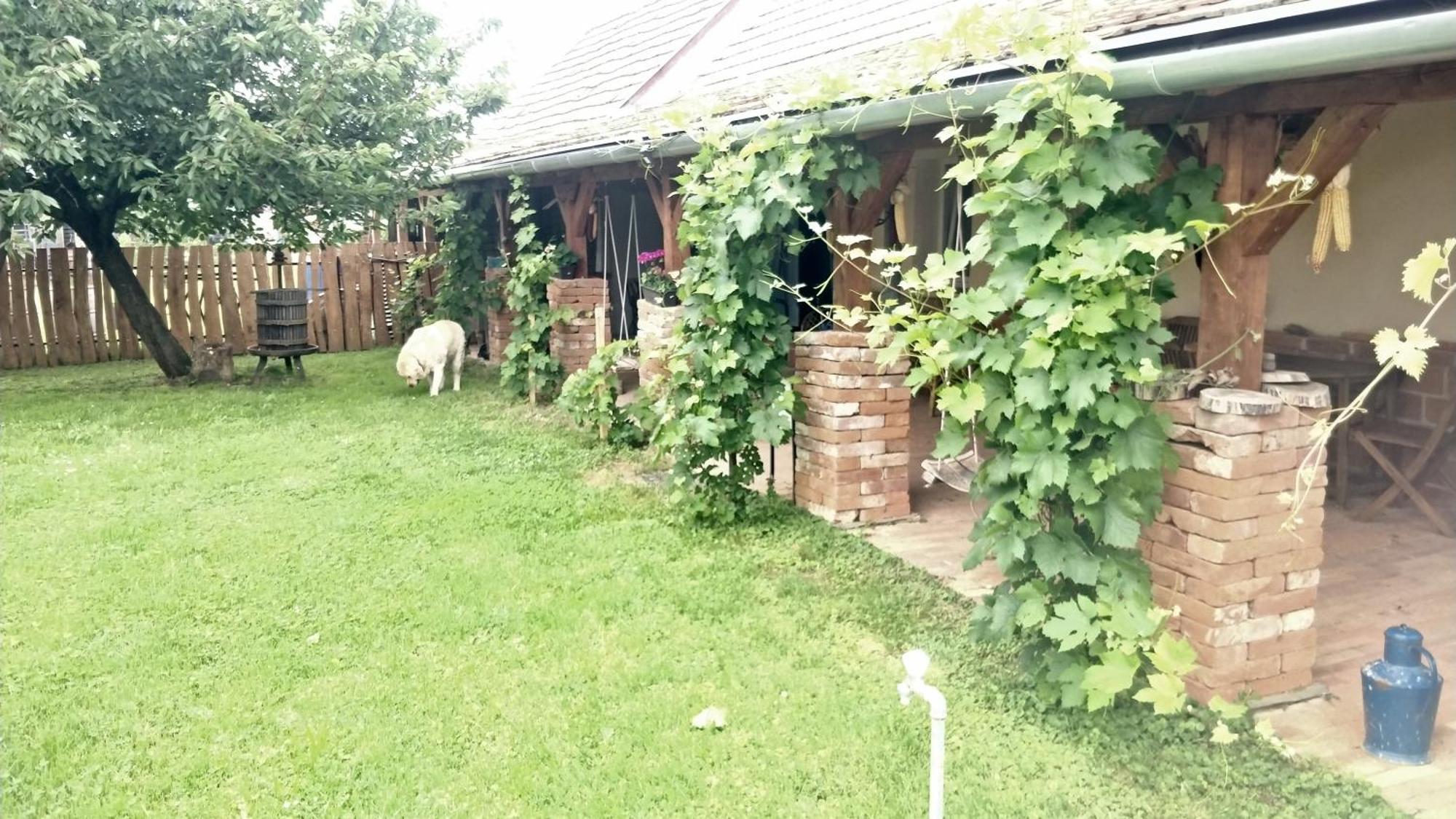 Öregház vendégház Lakhegy Exterior foto